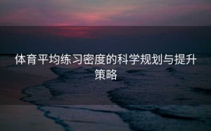 体育平均练习密度的科学规划与提升策略