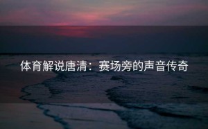 体育解说唐清：赛场旁的声音传奇