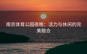 南京体育公园夜晚：活力与休闲的完美融合