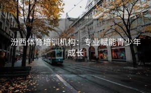 汾西体育培训机构：专业赋能青少年成长