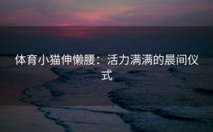 体育小猫伸懒腰：活力满满的晨间仪式