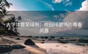 大学体育足球狗：校园绿茵场的青春风暴