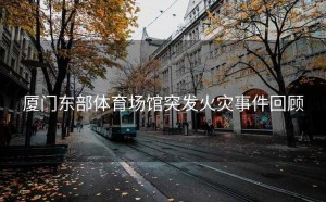 厦门东部体育场馆突发火灾事件回顾