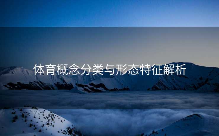 体育概念分类与形态特征解析