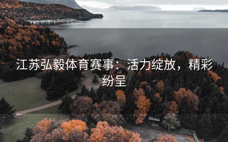 江苏弘毅体育赛事：活力绽放，精彩纷呈