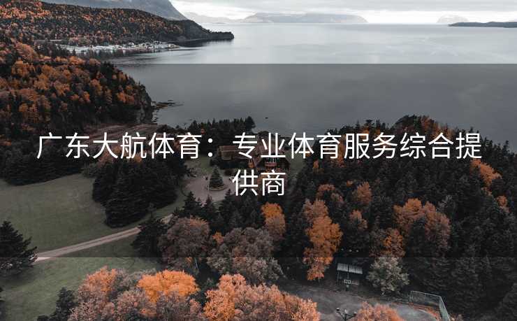 广东大航体育：专业体育服务综合提供商