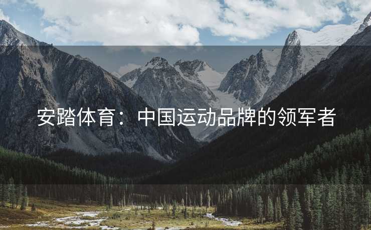 安踏体育：中国运动品牌的领军者