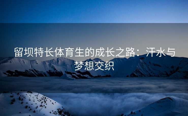 留坝特长体育生的成长之路：汗水与梦想交织