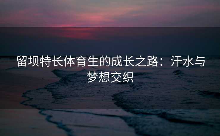 留坝特长体育生的成长之路：汗水与梦想交织