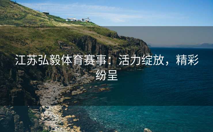 江苏弘毅体育赛事：活力绽放，精彩纷呈