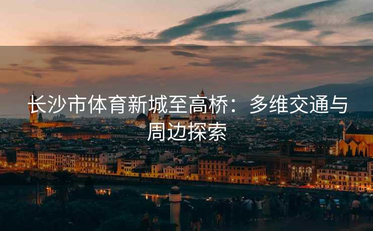 长沙市体育新城至高桥：多维交通与周边探索