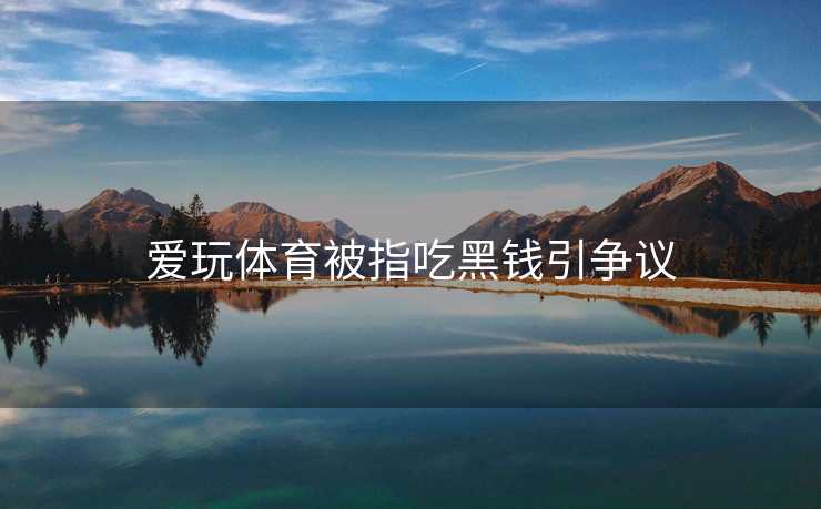 爱玩体育被指吃黑钱引争议