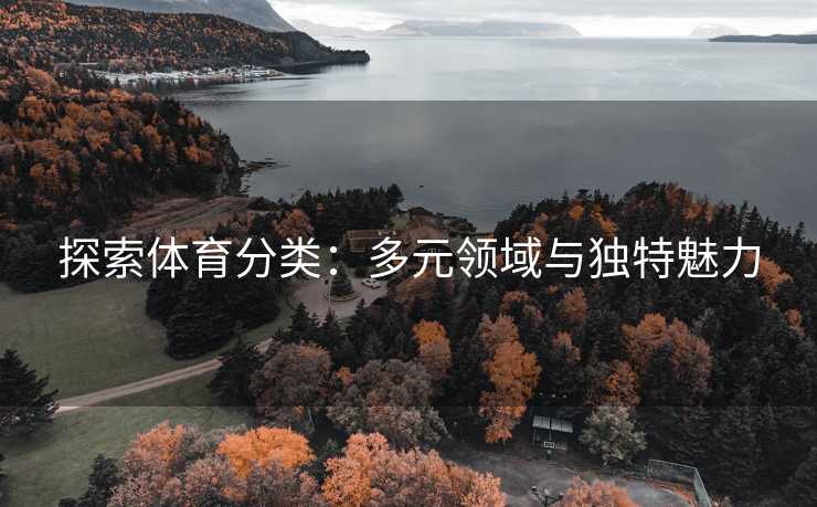 探索体育分类：多元领域与独特魅力