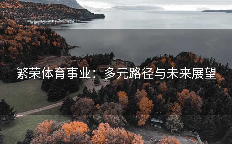 繁荣体育事业：多元路径与未来展望