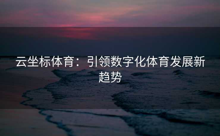 云坐标体育：引领数字化体育发展新趋势