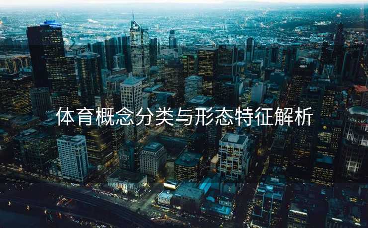 体育概念分类与形态特征解析