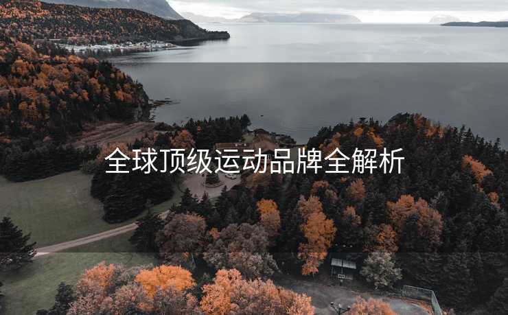 全球顶级运动品牌全解析