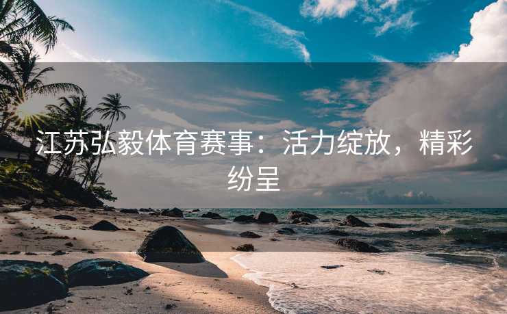 江苏弘毅体育赛事：活力绽放，精彩纷呈