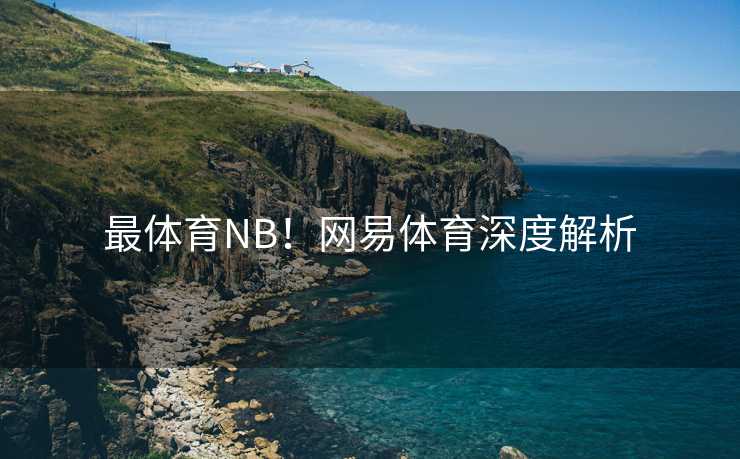 最体育NB！网易体育深度解析