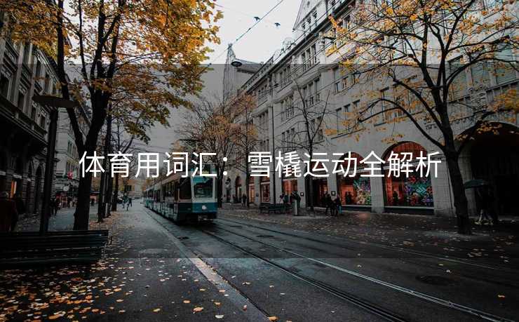 体育用词汇：雪橇运动全解析