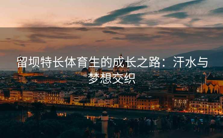 留坝特长体育生的成长之路：汗水与梦想交织