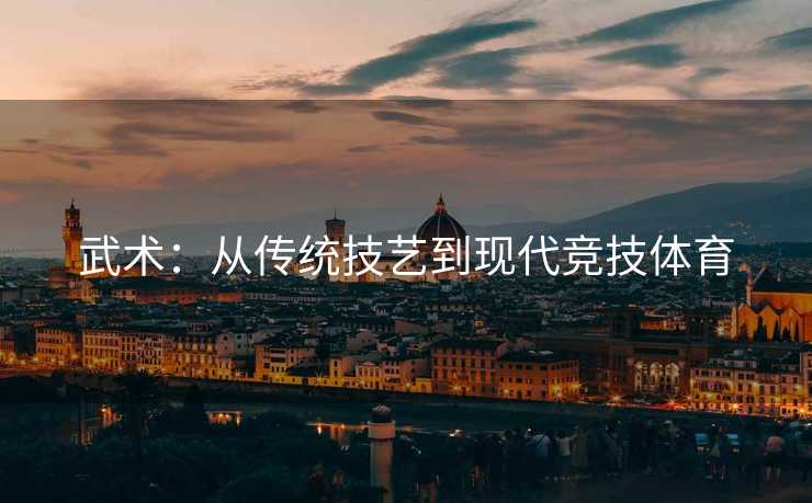 武术：从传统技艺到现代竞技体育