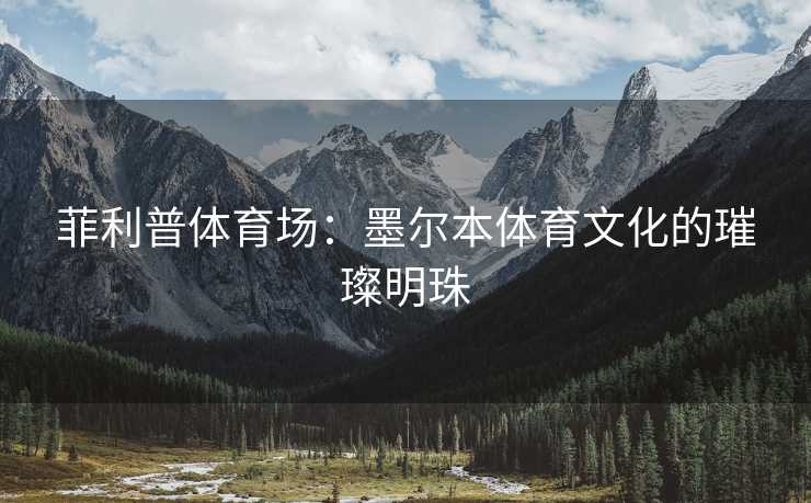 菲利普体育场：墨尔本体育文化的璀璨明珠