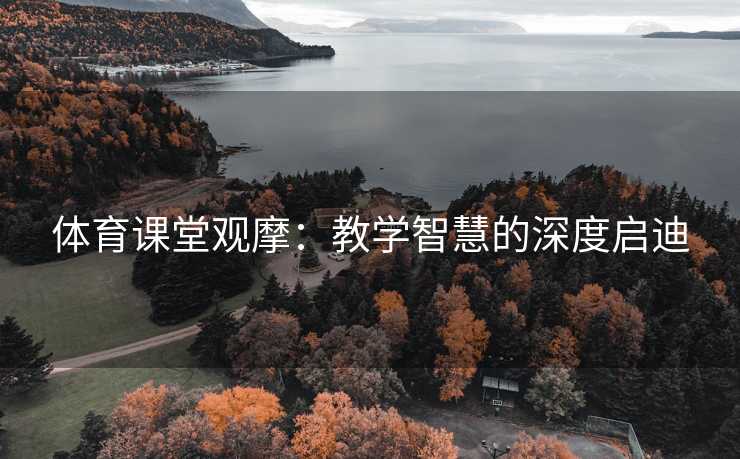 体育课堂观摩：教学智慧的深度启迪
