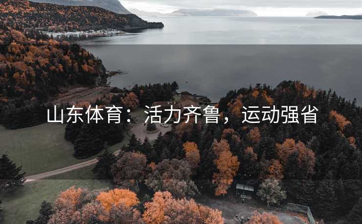 山东体育：活力齐鲁，运动强省