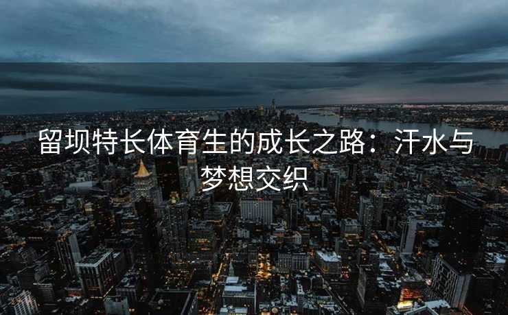 留坝特长体育生的成长之路：汗水与梦想交织