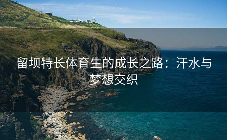 留坝特长体育生的成长之路：汗水与梦想交织