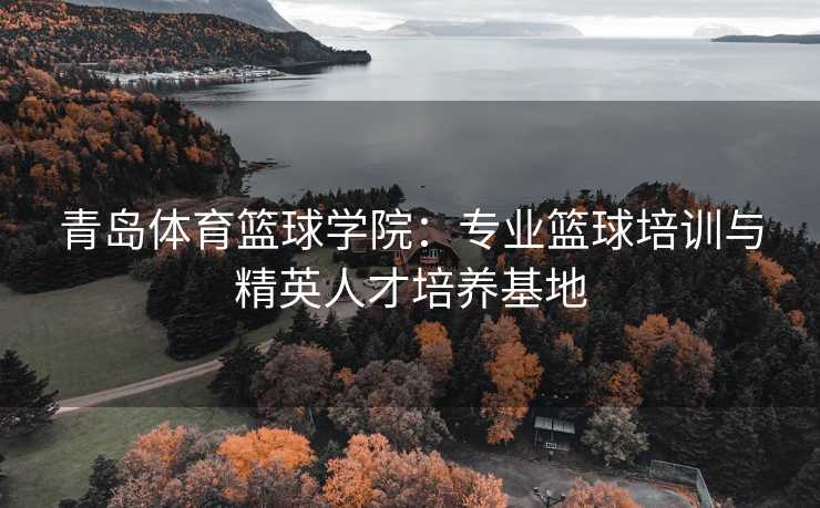 青岛体育篮球学院：专业篮球培训与精英人才培养基地