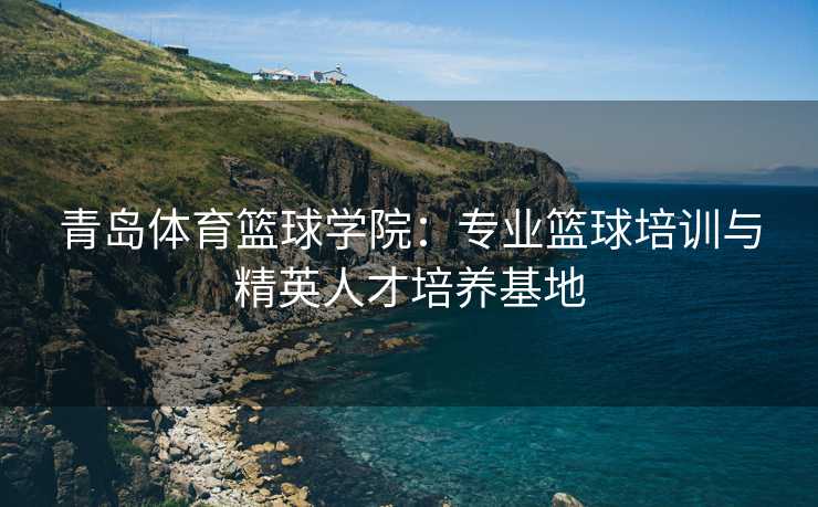 青岛体育篮球学院：专业篮球培训与精英人才培养基地