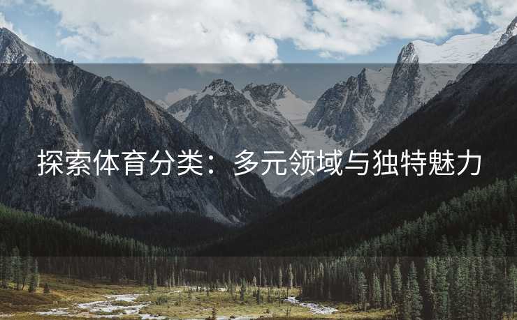 探索体育分类：多元领域与独特魅力