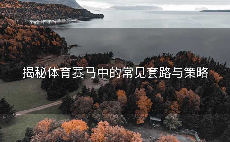 揭秘体育赛马中的常见套路与策略