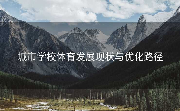城市学校体育发展现状与优化路径