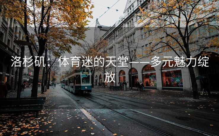 洛杉矶：体育迷的天堂——多元魅力绽放