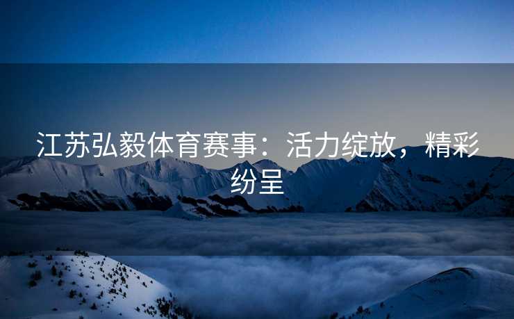 江苏弘毅体育赛事：活力绽放，精彩纷呈