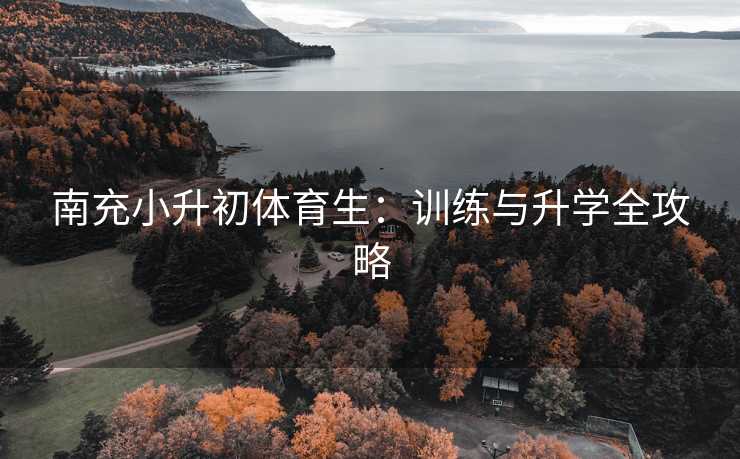 南充小升初体育生：训练与升学全攻略