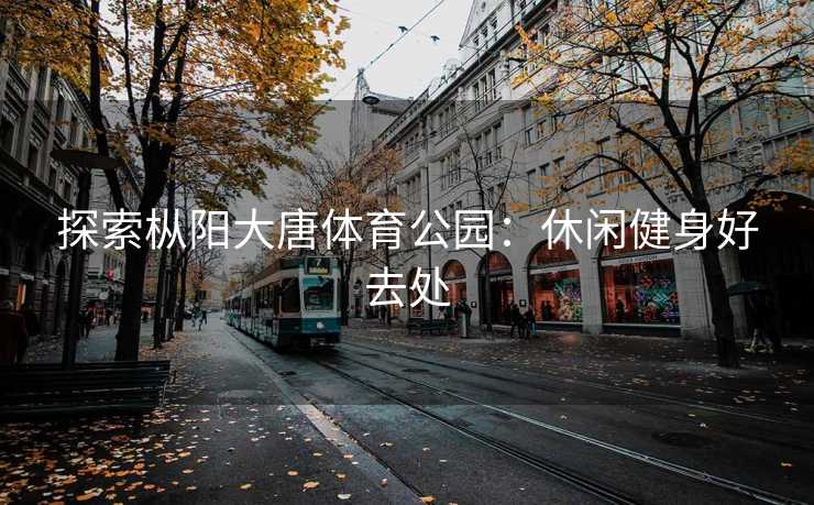 探索枞阳大唐体育公园：休闲健身好去处