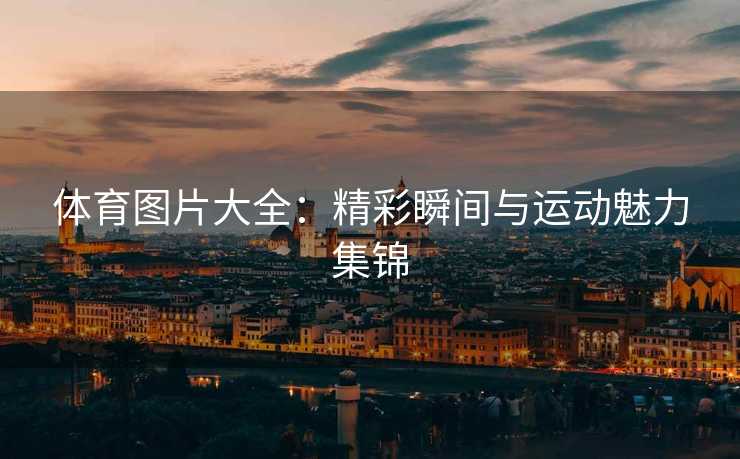 体育图片大全：精彩瞬间与运动魅力集锦