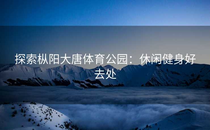 探索枞阳大唐体育公园：休闲健身好去处