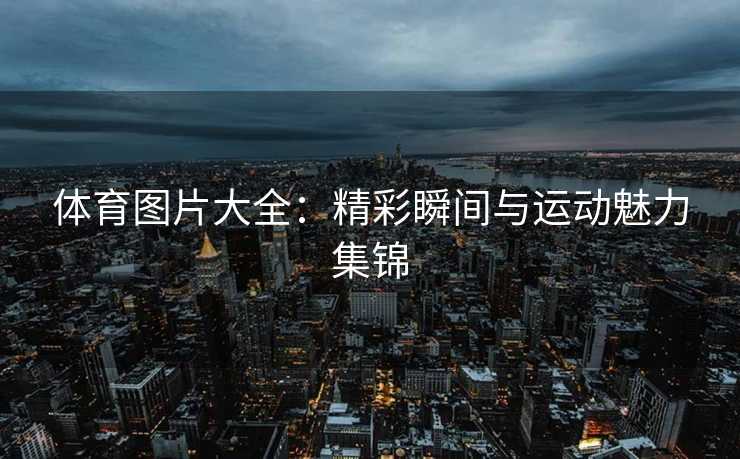 体育图片大全：精彩瞬间与运动魅力集锦