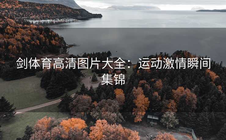 剑体育高清图片大全：运动激情瞬间集锦