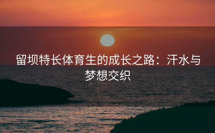 留坝特长体育生的成长之路：汗水与梦想交织