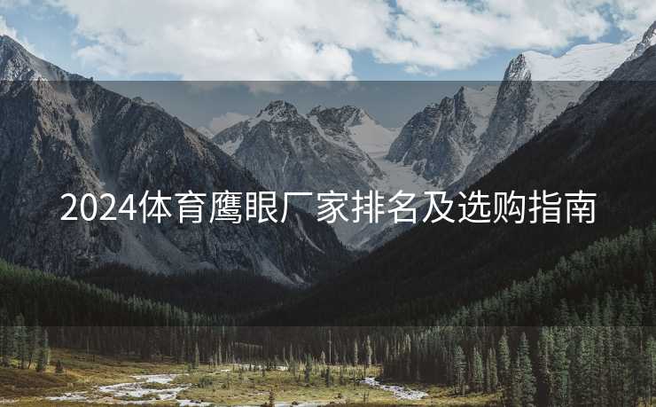 2024体育鹰眼厂家排名及选购指南