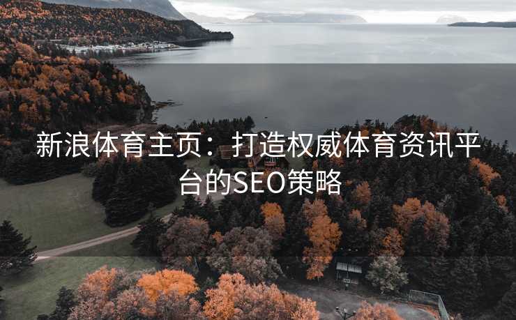 新浪体育主页：打造权威体育资讯平台的SEO策略