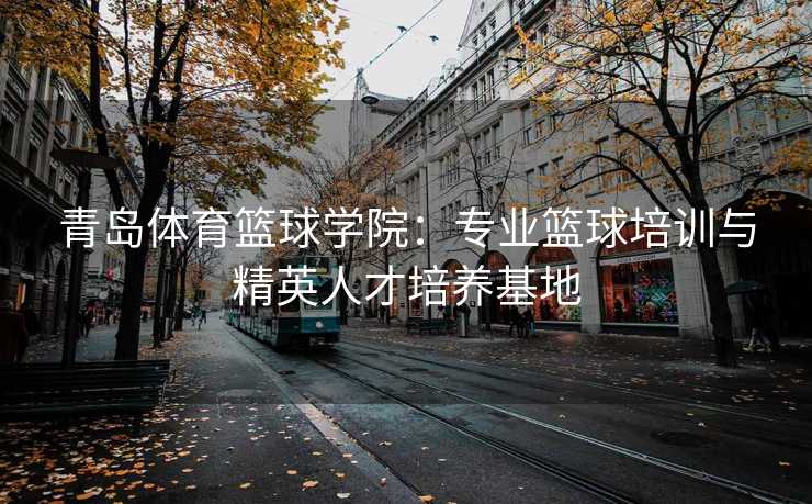 青岛体育篮球学院：专业篮球培训与精英人才培养基地