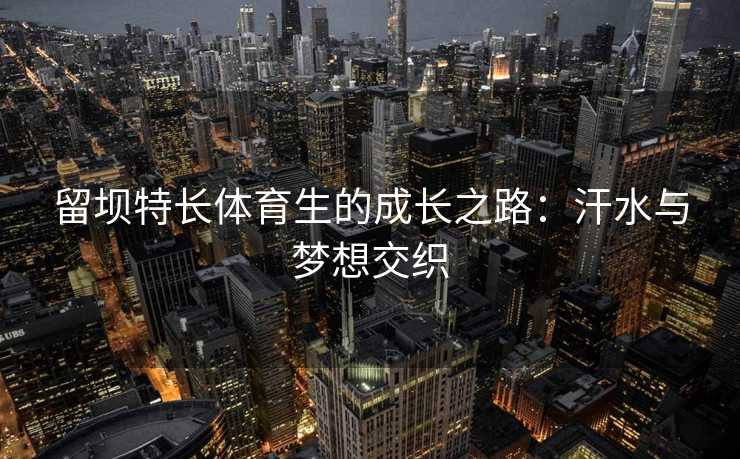 留坝特长体育生的成长之路：汗水与梦想交织