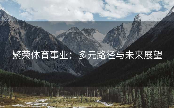繁荣体育事业：多元路径与未来展望